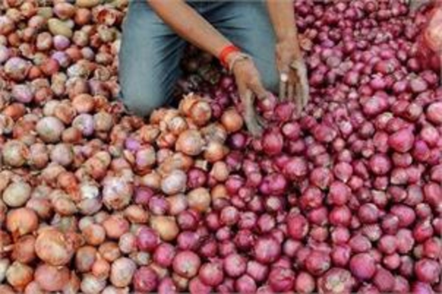 Govt imposes stock limits on onion traders to check prices